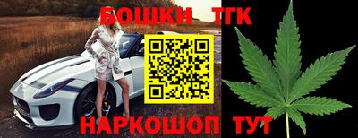 СК Гусь-Хрустальный