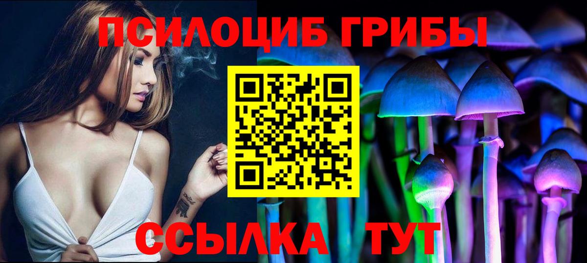 Псилоцибиновые грибы ЛСД  Вход с VPN  Псилоцибиновые грибы GOLDEN TEACHER  Буйнакск 